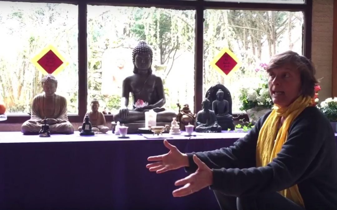 Bouddhisme et Médecine Traditionnelle Chinoise – Caroline Damour au Village des Pruniers